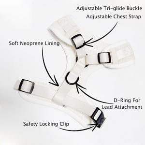 Arnés Innovador para Perro, Personalizable, Bordado, Blanco, Tipo Teddy, con Anillo Frontal, Transpirable, de Malla, sin Estrangulamiento - Product Image 3