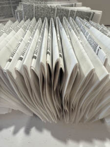 Gants jetables en polyéthylène laminé de marque Carte Dozio, fabriqués en Italie, pour kits de coloration capillaire et usage domestique professionnel - Product Image 4