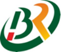 Shenzhen Borui Precision Technology Co., Ltd.