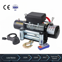 Treuil électrique pour entrepôt, atelier, ferme, avec moteur en cuivre pur, DC 12V 24V, protection contre les surcharges, antidérapant lors de la levée de charges