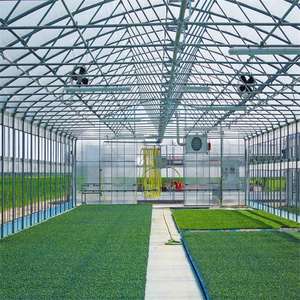 Invernadero de Túnel de Lámina de Policarbonato Fácil de Montar Skyplant, Galvanizado - Product Image 2