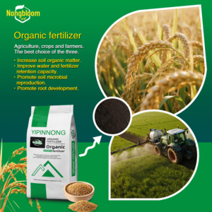 <span class=keywords><strong>Engrais</strong></span> <span class=keywords><strong>organique</strong></span> en poudre purement naturel de qualité supérieure Npk <span class=keywords><strong>pour</strong></span> la plantation de fleurs d'agriculture biologique - Product Image 6