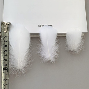 Plumes d'oie Erica 48cm 711cm 913cm Blanc Noir Artisanat Bijoux Vêtements Accessoires - Product Image 4