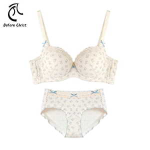 Conjunto Sujetador <span class=keywords><strong>de</strong></span> bikini con antiflacidez <span class=keywords><strong>de</strong></span> tiro alto <span class=keywords><strong>para</strong></span> mujer, <span class=keywords><strong>ropa</strong></span> <span class=keywords><strong>interior</strong></span> transpirable <span class=keywords><strong>de</strong></span> realce, correas ajustadas, logotipo <span class=keywords><strong>de</strong></span> cintura, talla grande <span class=keywords><strong>para</strong></span> New Chubby - Product Image 1