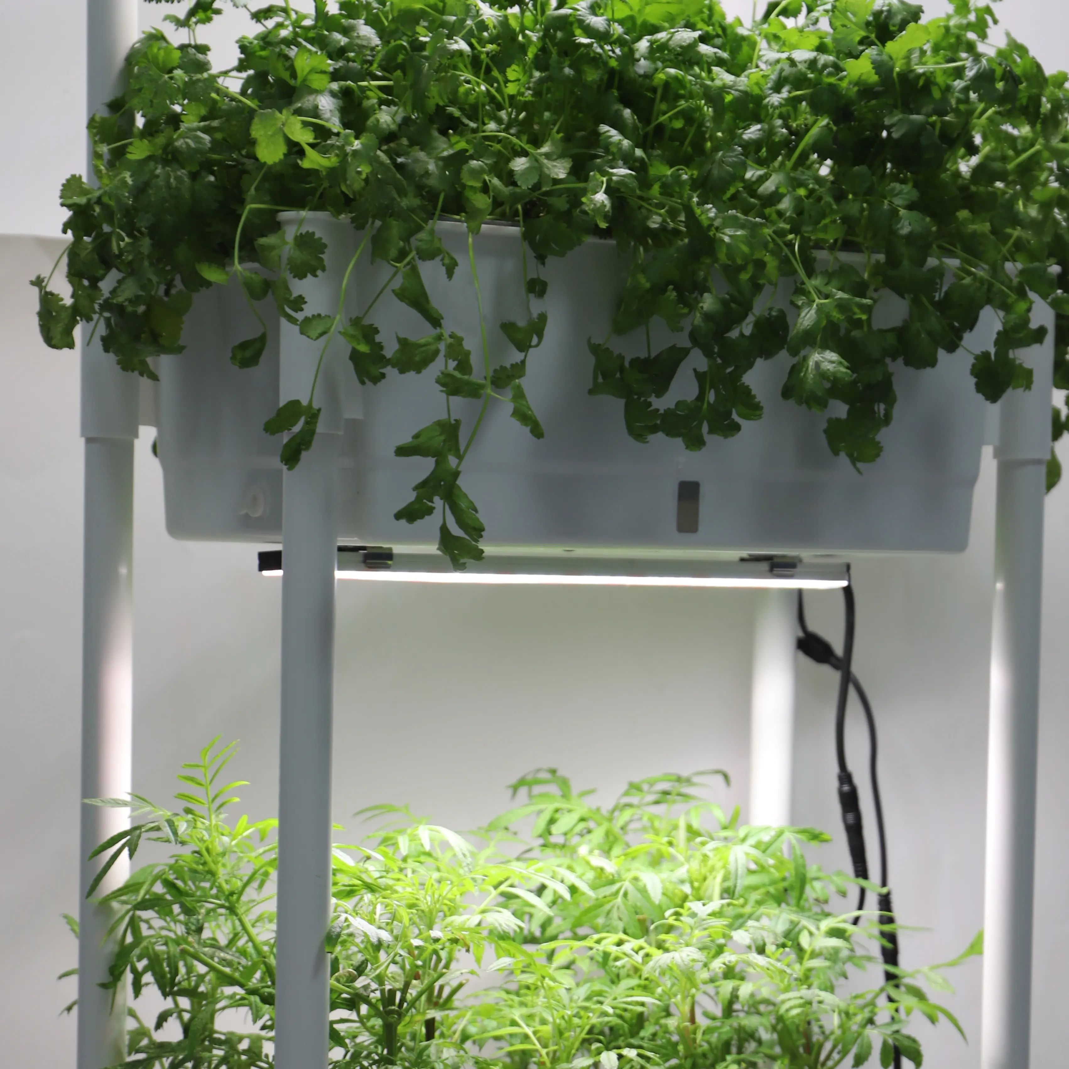 vertikales Anbaupotten-System Indoor-Garden-Anbaukits mit Led-Anbaulichtslicht gemischtes 660-nm-Spektrum