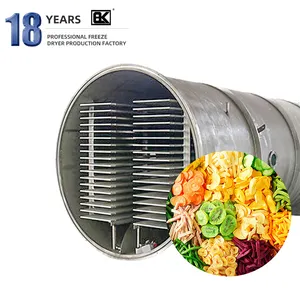 Fabrika çıkışı uzun ömürlü sürekli çalışan donmalı kurutucu dondurularak kurutulmuş gıda makinesi çin sağma makinesi için vakum pompası