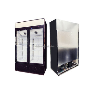 Hiển Thị Pepsi Tủ Đông 500l Cửa Kính Đôi Tủ Trưng Bày Lạnh Tủ Lạnh Tủ Đông - Product Image 3