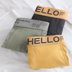 Bán buôn Polyester boxer quần lót thoải mái mềm kháng khuẩn giữa eo đồ lót của nam giới Boxer Briefs - Product Image 4