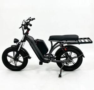 20 Inch Fat Tire 7-Speed Alloy Steel <b>Frame</b> Disc Brakes Electric Cargo <b>bicycle</b> Rear Rack Brushless Electric 36V70AH Long - Product Image 6