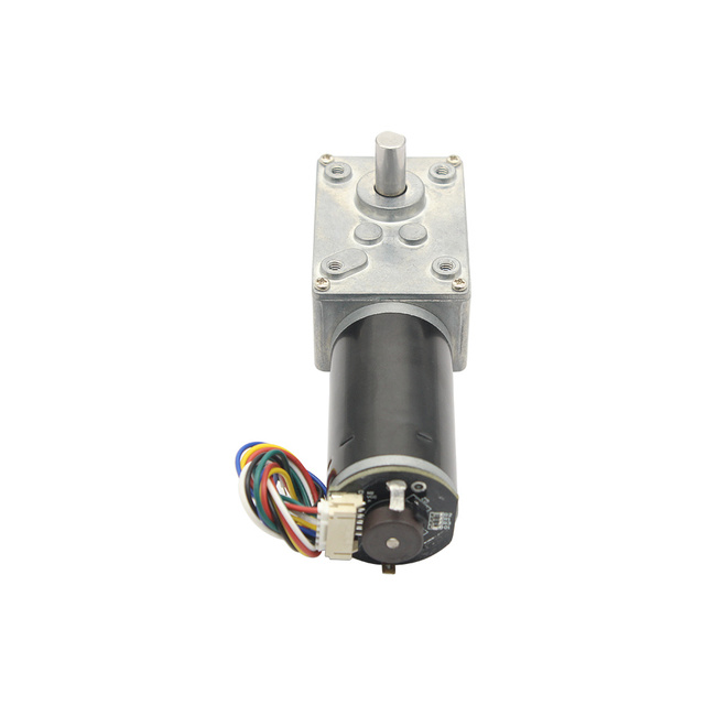12V 60RPM DC Worm Low Noise High Torque Reduction Motor Brushless DC Worm Gear Motor 60RPM Small Household Appliance