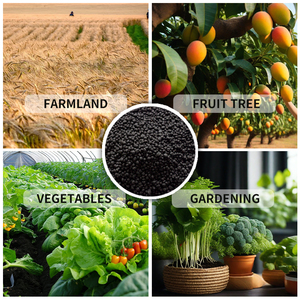 Granulés d'<span class=keywords><strong>engrais</strong></span> <span class=keywords><strong>bio</strong></span>-organique multifonctionnels 0,2 milliards/g Solution de sol vivant pour l'horticulture et le gazon - Product Image 4