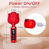 Gelance Weiblicher Masturbationsstab Rose AV Vibrator 9 Modi LED-Anzeige Silikon IPX7 Wasserdicht Magnetisch USB Fernbedienung für Erwachsene