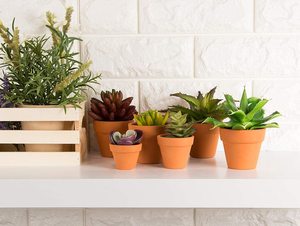 3 pots à fleurs en <span class=keywords><strong>terre</strong></span> <span class=keywords><strong>cuite</strong></span> brune de petite taille - Product Image 6