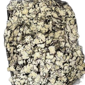 Extracto de Ligusticum chuanxiong |   Vasodilatador Natural y Soporte para la Salud Circulatoria para Suplementos Dietéticos, Fórmula para la Salud del Corazón - Product Image 2