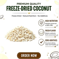Cococinitas y Dados de Coco Liofilizados a Granel Listos para Consumir para Producción Industrial de Alimentos y Suministro de Materia Prima
