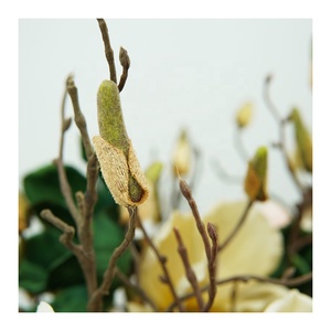 Bán Sỉ Thân Hoa Mộc Lan Cành Hoa Mộc Lan Lấp Lánh Để Trang Trí Cây Giáng Sinh Sản Xuất Tại Trung Quốc - Product Image 2