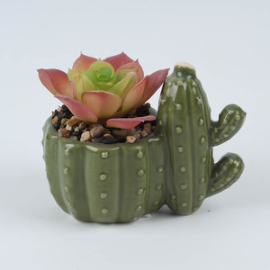 Piante succulente artificiali dei piccoli vasi da fiori ceramici a forma di <span class=keywords><strong>cactus</strong></span> su ordinazione all'ingrosso mini - Product Image 3