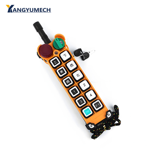 Hot Bán Giàn Cẩu Palăng Điện Tời Nâng Bàn Giao Công Nghiệp Đài Phát Thanh Không Dây F24-12S/12D Điều Khiển Từ Xa - Product Image 3