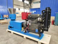 Machine de fabrication de granulés de bois à biomasse pour moteur diesel Moulin à granulés de sciure de bois