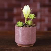 Pot de fleur à fente, 1 pièce Z518, Mini bonsaï, plantes hydroponiques succulentes, pour décoration de maison et de bureau