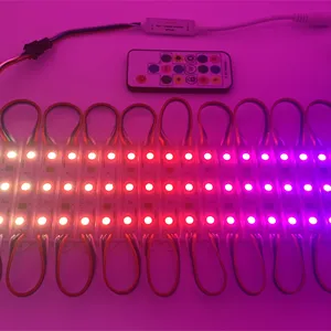 Addressable RGB RGBIC 12V LED Module Outdoor Letter Sign WS2811 SMD 5050 Silicone Waterproof Programmable Pixel RGB Led Module