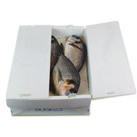 PP carton ondulé étanche Floding Corflute Coroplast fruits de mer boîte de rangement réutilisable PP creux en plastique saumon poisson boîte d'emballage