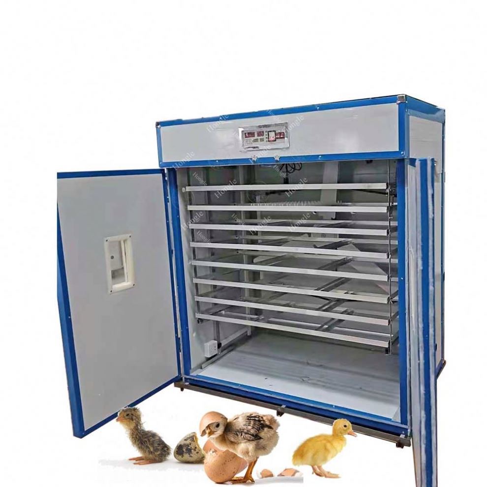 hatchery machine 50000 eggs incubator with solar