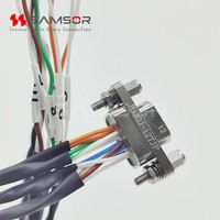 OEM HJ30J Serie Rechteckiger Steckverbinder HJ30J-12TJP Hochgeschwindigkeits-Mikro-D-Steckverbinder mit Kabelkonfektion