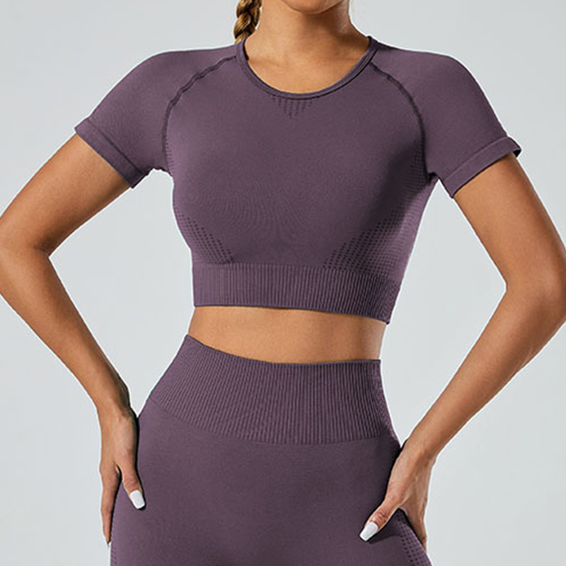 Gym Quick Dry Seamless Breathable Women's Fitness Yoga Top Tight Short Sleeve Active Wear