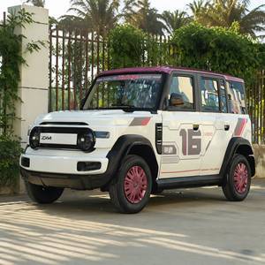 Vehículo <span class=keywords><strong>de</strong></span> Movilidad Eléctrico <span class=keywords><strong>de</strong></span> Cuatro Ruedas, Doble Combustible, Nueva Energía, Sin Licencia <span class=keywords><strong>de</strong></span> <span class=keywords><strong>Conducir</strong></span>, Apto para Personas Mayores, para Damas y Familias, Nuevo y Cerrado - Product Image 4