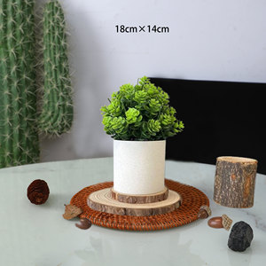 Plantes vertes artificielles Fuyuji, 18 cm, plastique, haute simulation, décorations de bureau - Product Image 2