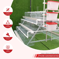 Cages à poules pondeuses 3/4 niveaux pour l'élevage avicole, cages en batterie, poulaillers pour l'élevage en ferme