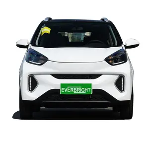 मॉड्यूलर डिजाइन माइक्रो कार बिजली की उपयोगिता वाहन, 2 सीटर इलेक्ट्रिक कारों के लिए वयस्क ऑटो electrico