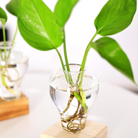 Décoration de bureau à domicile, mini-plant de séparation d'air, station de propagation en terrarium, vase en verre pour bulbes hydroponiques, support en bois