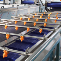 Reinigingsmachine Automatische Fruit En Groente Bubbel Wasmachine