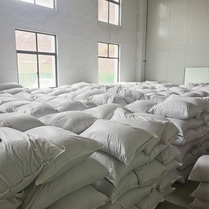 Larvas de Mosca <span class=keywords><strong>Soldado</strong></span> Negra Secas y Tostadas Bioforte, Alto Contenido de Proteína, Inodoras, para Mascotas, Pollos y Patos, Ingredientes Naturales y Orgánicos - Product Image 4