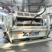 Machine à fabriquer des barquettes à œufs abordable, 1000-7000 pièces/heure, machine à barquettes à œufs en papier avec production simple pour les entreprises de transformation des œufs