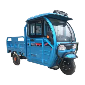 850W Motor Electric Van Cargo Tricycle with Electric Trike Tricycle for Cargo Made in China 48V Trikes 3 Wheel 250cc Motorcycle