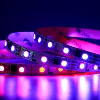 Bande LED flexible adressable programmable DMX, couleur de rêve, RGBIC Ws2811 Ws2812b DC 12V 24V SMD5050 60leds/m 10mm 5m/rouleau