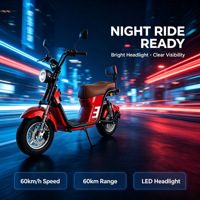 Nouvelle conception de scooter électrique à gros pneus 2000W, batterie LFP 60V, double suspension, avec chargeur, certification CE UL SAA