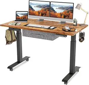 Hot Sale Dual Motor Electric Adjustable Standing Desk Height Adjustable Desk Frame Sit Stand Desk