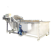 Volledig automatische groente- en fruitwasmachine met PLC-besturing, food grade, capaciteit 500 kg/uur, voor groenteverwerking.