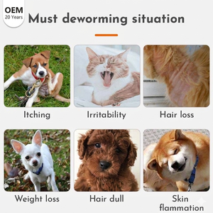 Solution topique <span class=keywords><strong>anti</strong></span>-puces, tiques et vers pour chiens et chats, usage mensuel, efficace, marque OEM - Product Image 4