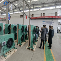 Condenseur de réfrigération horizontal à refroidissement par air à décharge latérale pour chambre froide d'abattoir de volailles