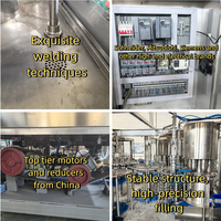 Línea de Enlatado Automática de Bebidas Carbonatadas de 20000 CPH con 48-6 Cabezas para Latas de Aluminio de 0-500 ml con Control PLC