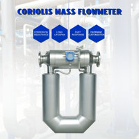 Medidor de Flujo Másico Coriolis LONNMETER de Acero Inoxidable 316, Precisión de 0.15% FS, Conexión de Brida, 0~100000 M/h, para Gas/Líquido