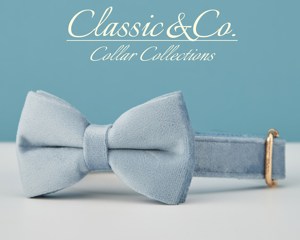 Dusty Blue Veet personalizado Do Collar Bow Tie Leash Set, personalizado Enraved Pet Name Metal Buckle, cumpleaños cachorro regalo, gratis - Product Image 4