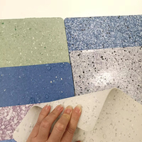 Rollo de Vinilo PVC de Diseño Moderno, Suelo Comercial Tipo Linóleo, Alfombra con Diseño 3D, Venta Caliente, Directo de Fábrica China