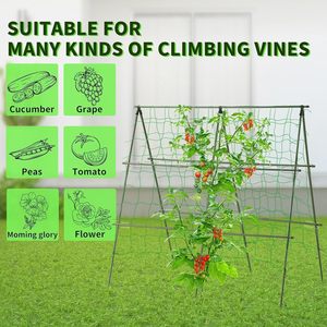 4ft x 4ft kim loại a-frame vườn <span class=keywords><strong>trellis</strong></span> hỗ trợ ngoài trời cho leo núi trái cây nho nho Rau cà chua đậu đậu dưa chuột - Product Image 3