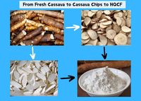 Industriële cassavemeelfabriek, droge methode cassavemeelproductielijn, cassavechips gemalen voor meelproductie